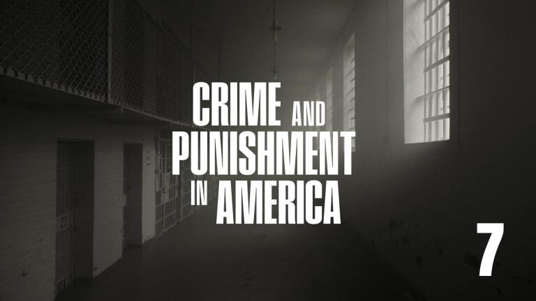 7 Explanations for Crime Decline