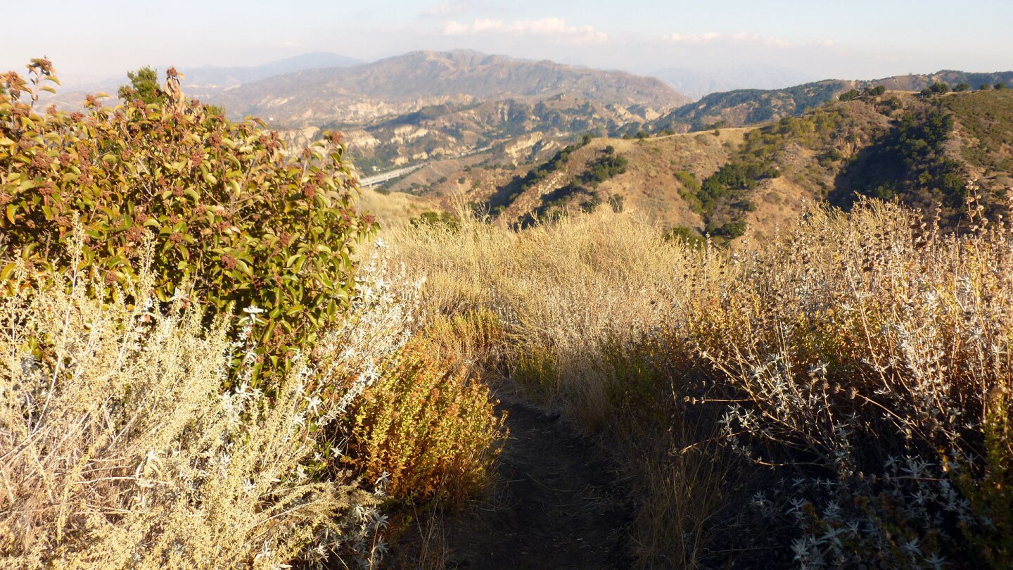 Towsley Canyon
