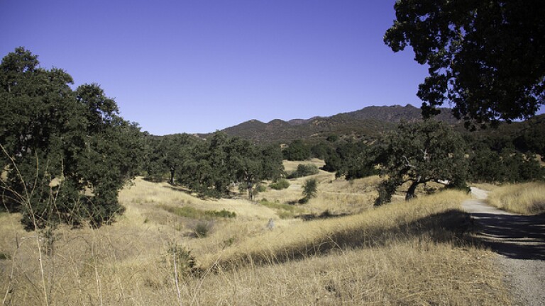 ticks-santa-monica-mountains