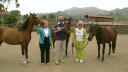 Catalina Arabian Ranch