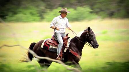 Field Trip: Antique Mexican Parade Saddles