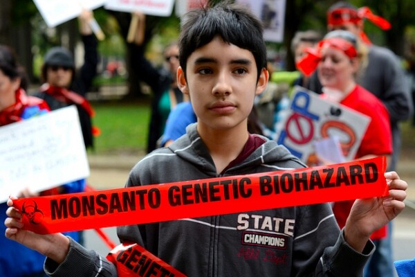 oregongmo