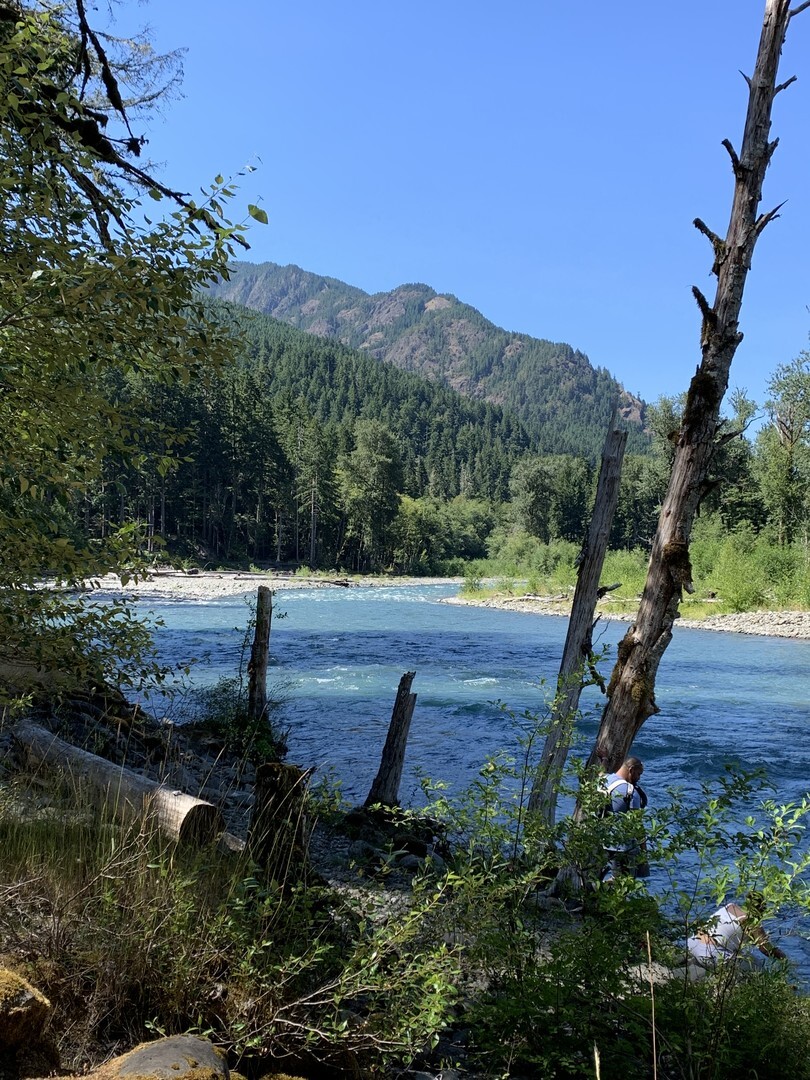 A riverbank with a forest and mountains in the distance.