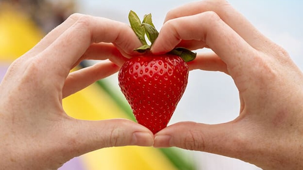 California Strawberry Festival- Hand holding a strawberry