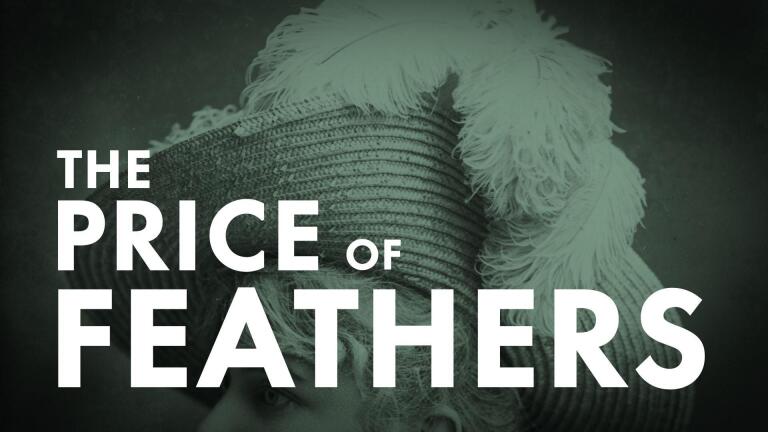 The Price of Feathers