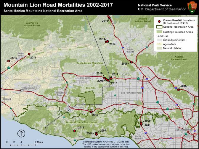 Locations of mountain lions freeway killings | National Park Service