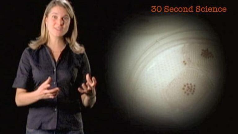 Eva Vertes: 30 Second Science