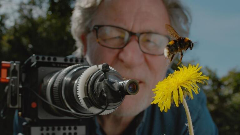 NATURE - Season 40