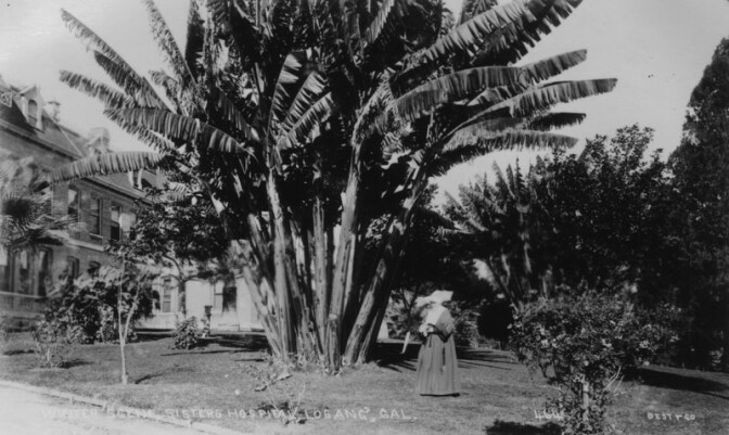 Sisters's Hospital at Beaudry Park
