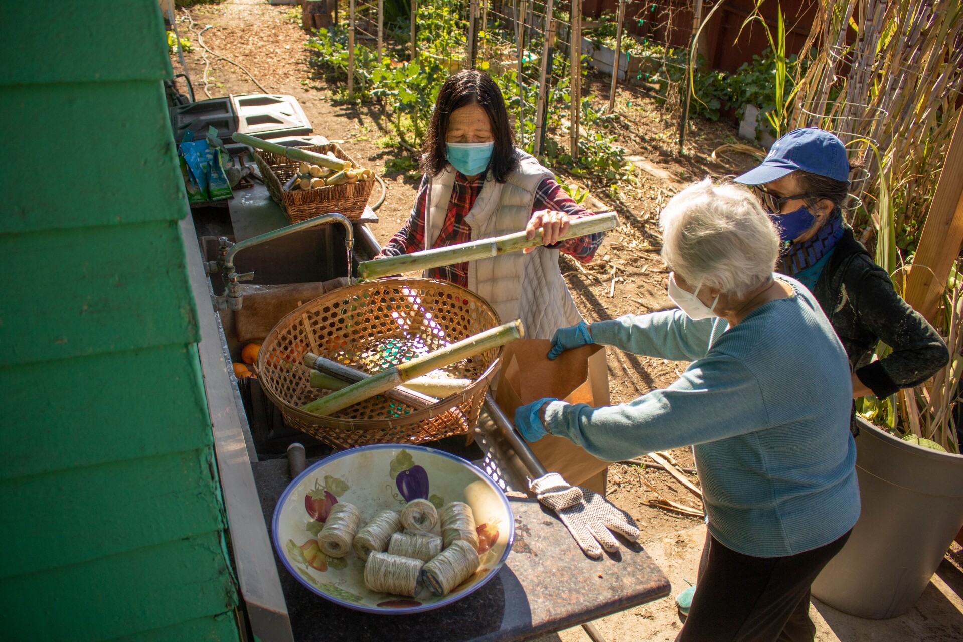An elder woman washes pieces of sugar cane at an outdoor sink. Next to the sink is a basket full of unwashed sugar cane. Meanwhile, another elder woman looks on from behind. And a third elder holds out a brown paper bag.
