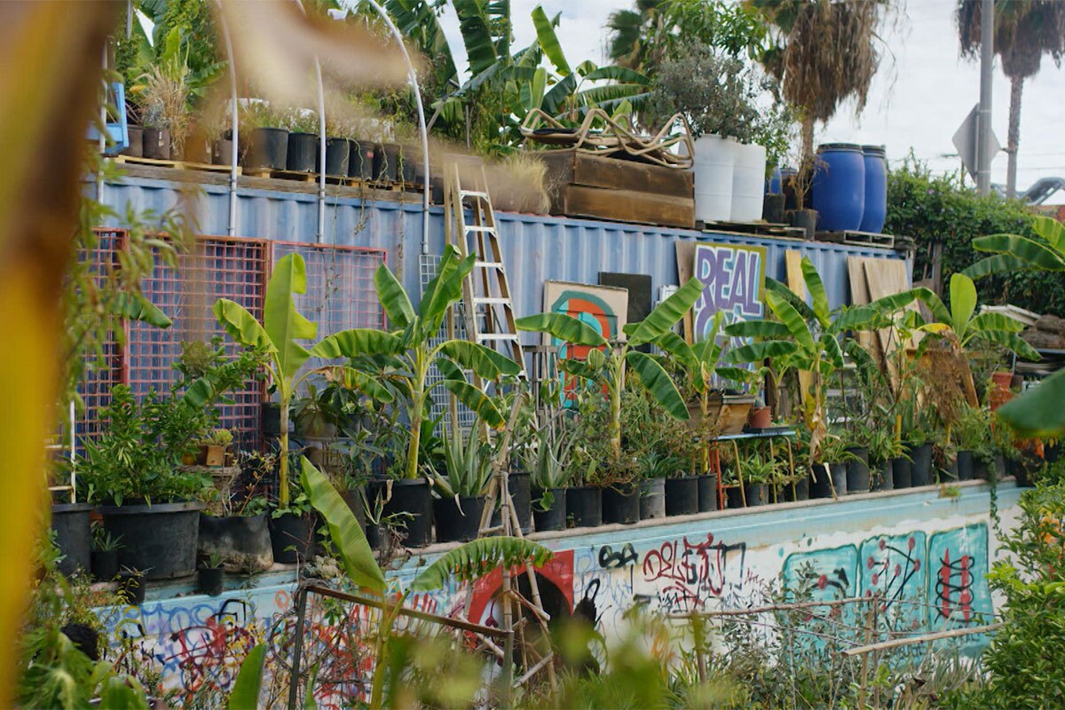 A peek into Ron Finley's garden. | Still from "Broken Bread"