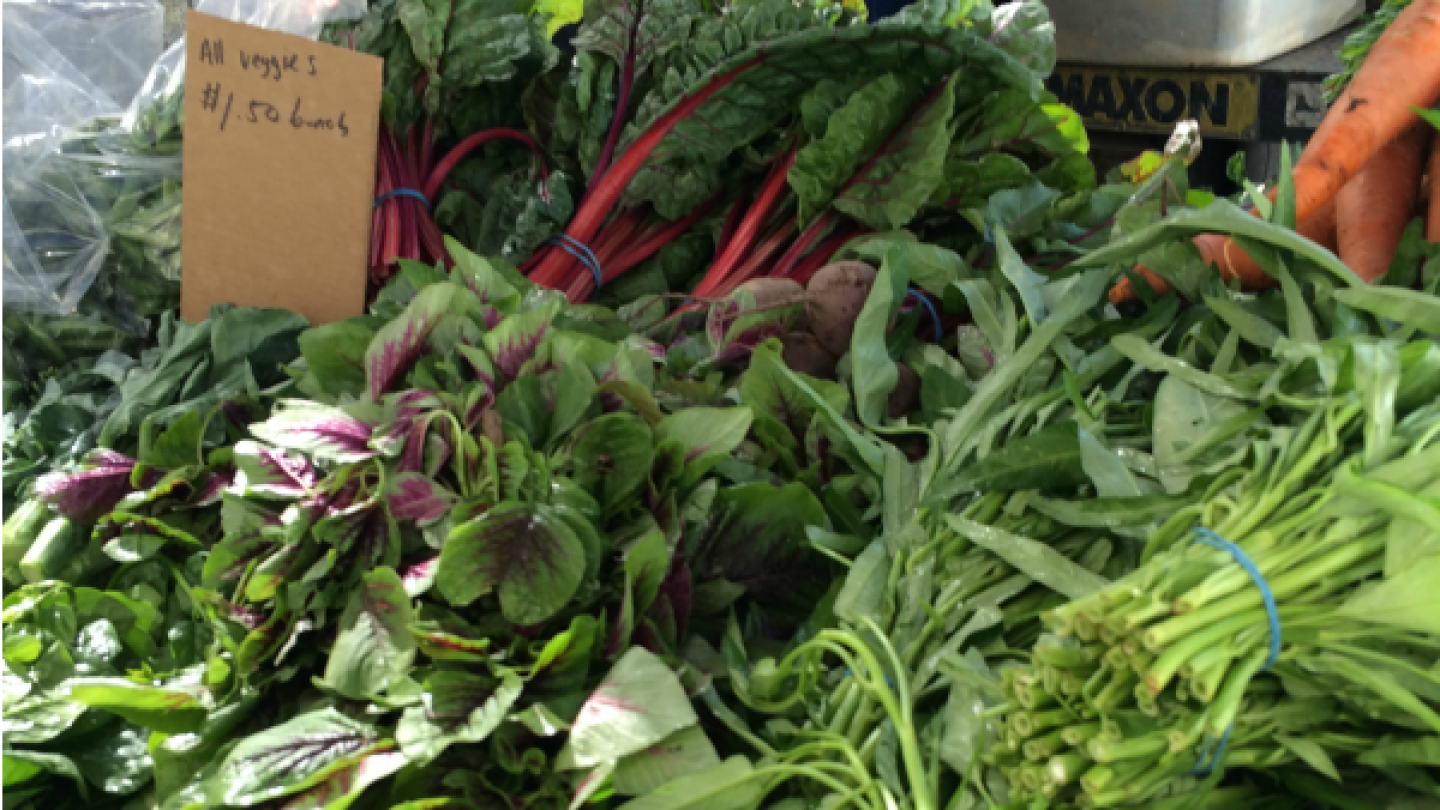 Veggies from Her Farms from the Santa Barbara Farmers Market
