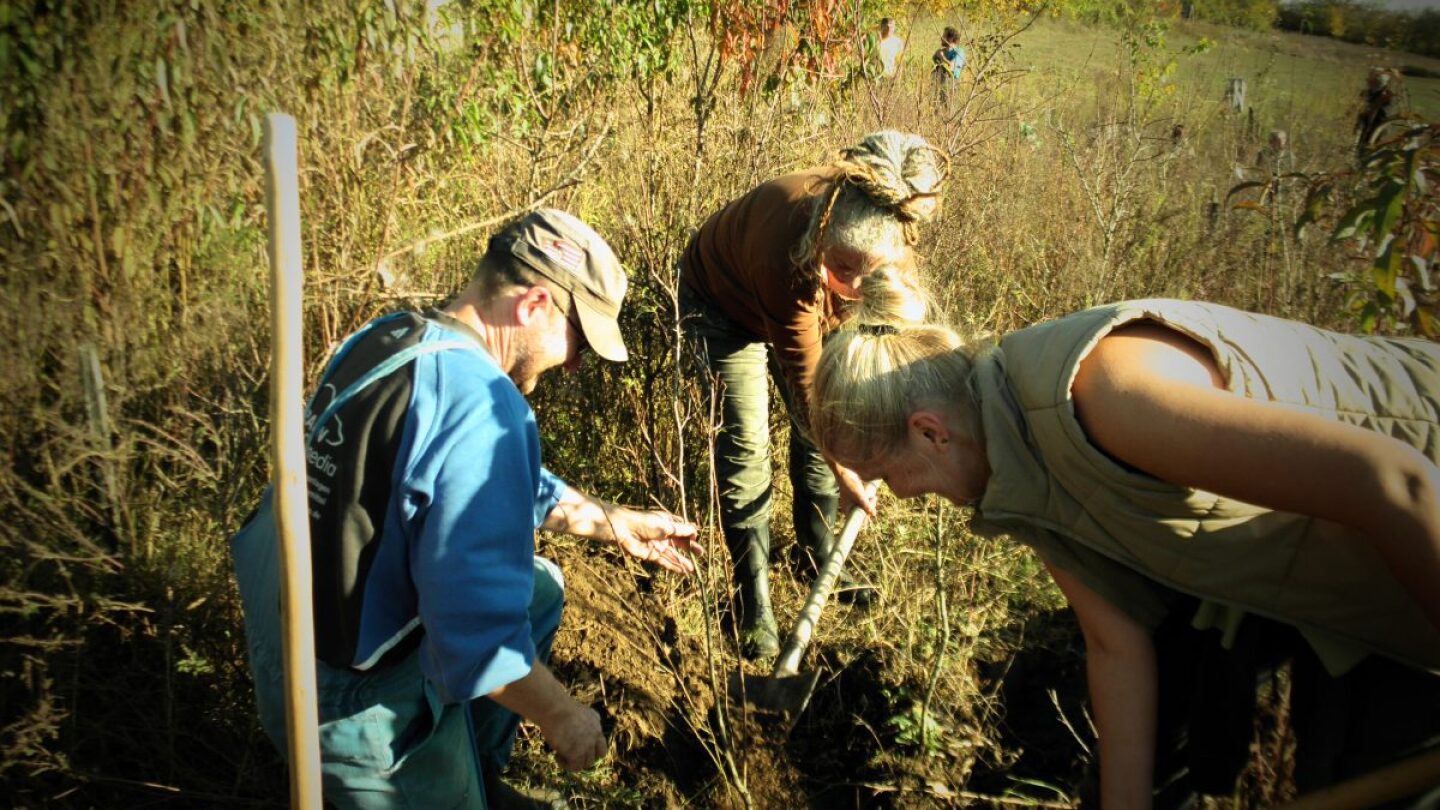 Members working | Transition Network | All Rights Reserved