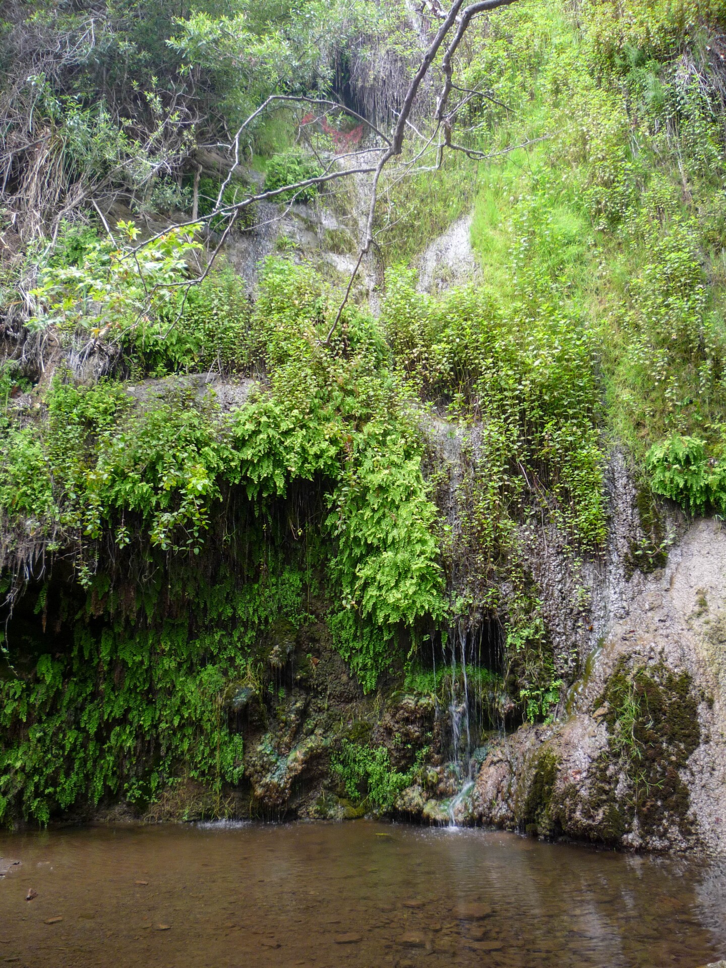 The waterfall at the end of the Escondido Canyon Park and Falls hike in Malibu.