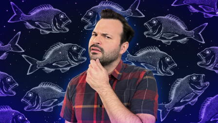 No Such Thing as a Fish | July 13 - July 19