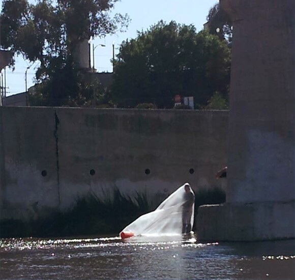 Rafa Esparza's L.A. River performance