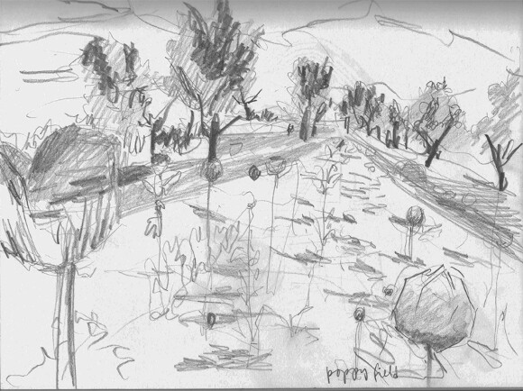 DICE-T Poppy Fields | Drawing by Eva Struble
