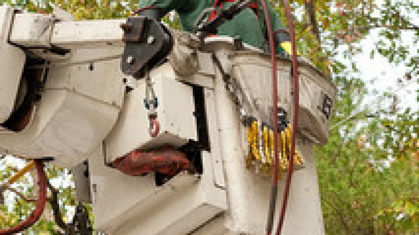 tree-triming-los-angeles-budget