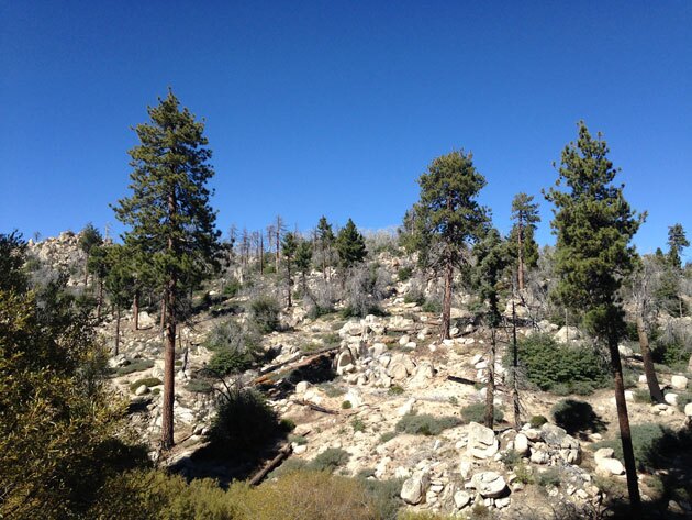butler-beauty-1-1-16-thumb-630x473-100449