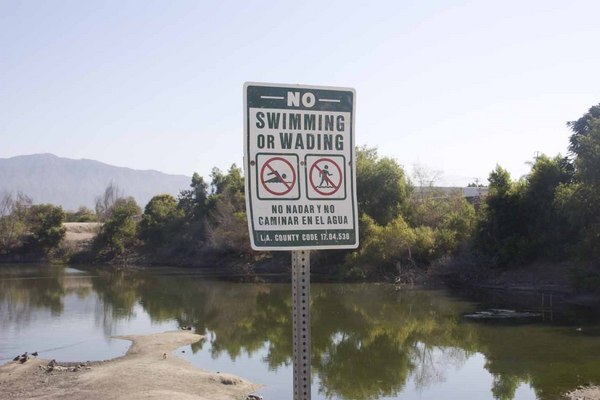 The sign says no swimming, but some people still won't take no for an answer. The Council still samples to see if it's safe for humans to get in contact with the water.