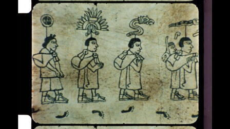 Where the term "Chicano" comes from