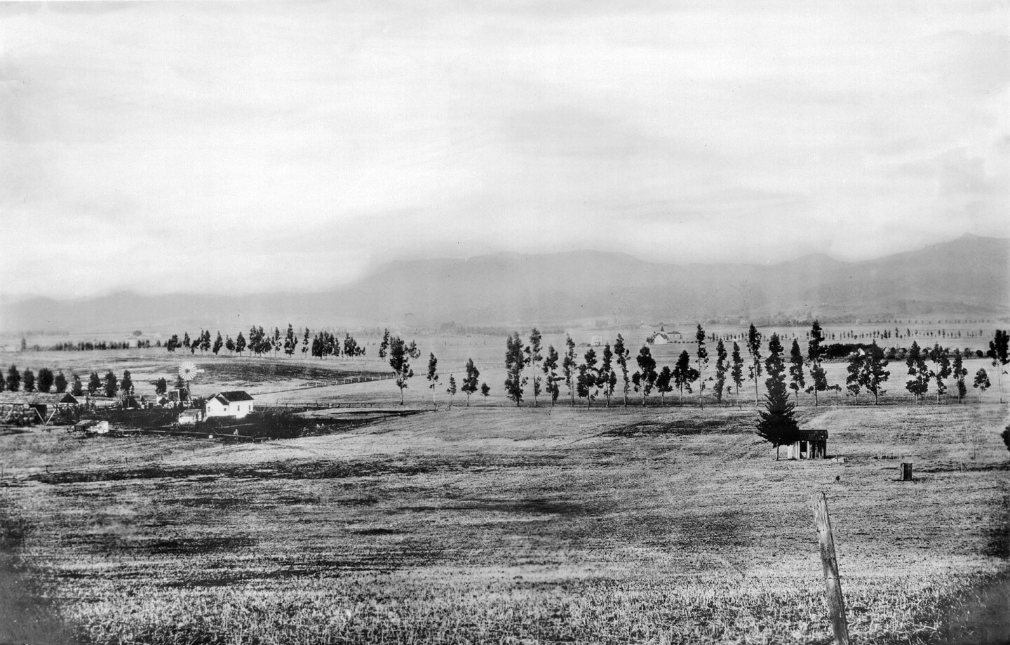 View of Hollywood looking north from Normandie Avenue and Melrose Avenue, California, ca.1900.jpeg