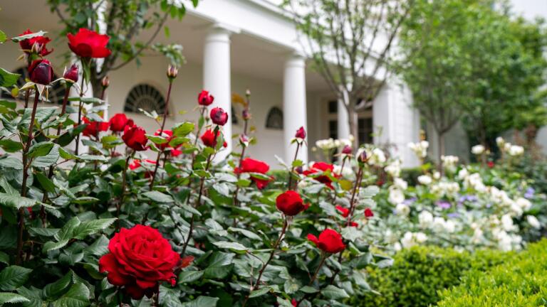 Washington Week Extra for May 22, 2020