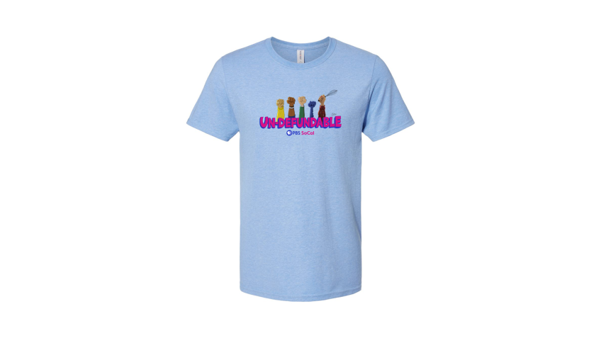 Brandon_LandingPageShirt_Undefundable 1920x1080.png