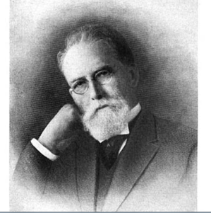 D.O. McCarthy