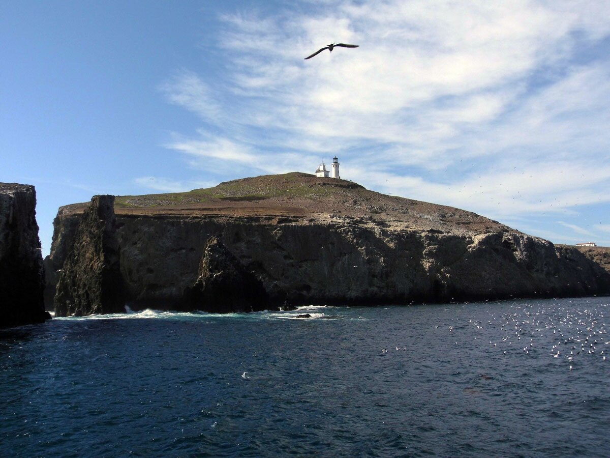 Anacapa Island | Sandi Hemmerlein