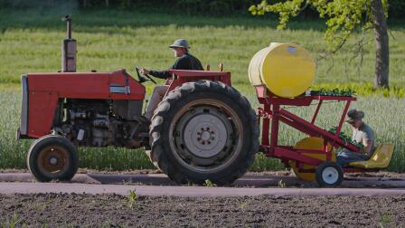 Hay River Pumpkin Seed Oil Farm