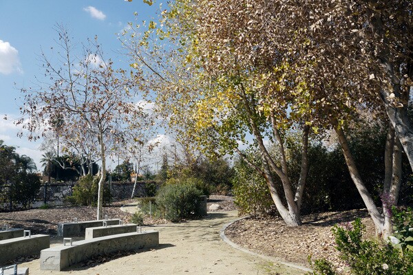 Madrid School Park | Photo: Yosuke Kitazawa