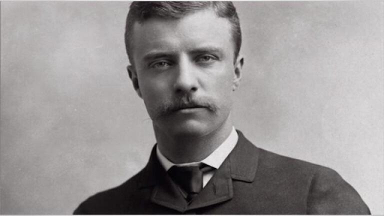 Timeline Clip - Theodore Roosevelts Political Career Starts