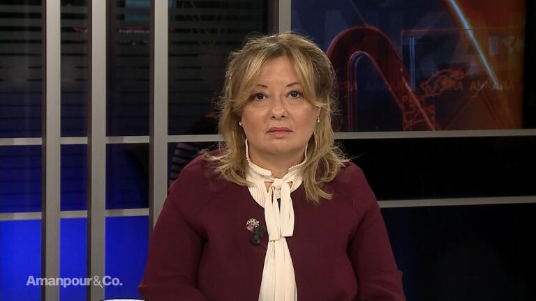 Gülnur Aybet on the Situation in Northern Syria