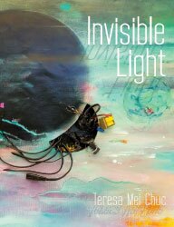 Invisible Light, Teresa Mei Chuc