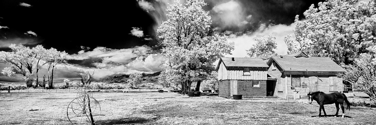 Boarded-Up Farmhouse with Watchful Horse - Infrared Exposure - Bishop, CA - 2016 | Osceola Refetoff