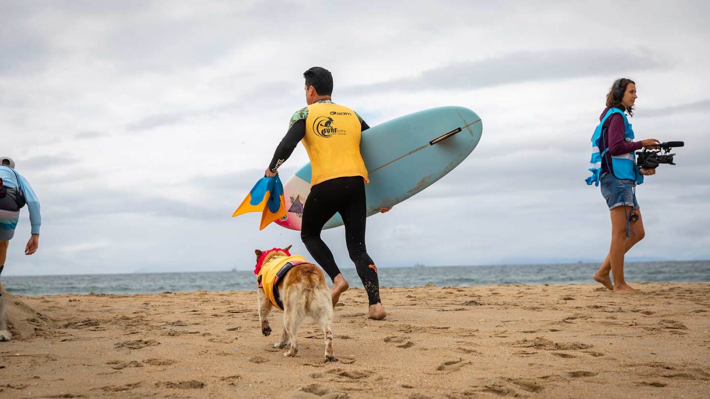 Surfer in yellow runs on the beach sand with his dog at his side