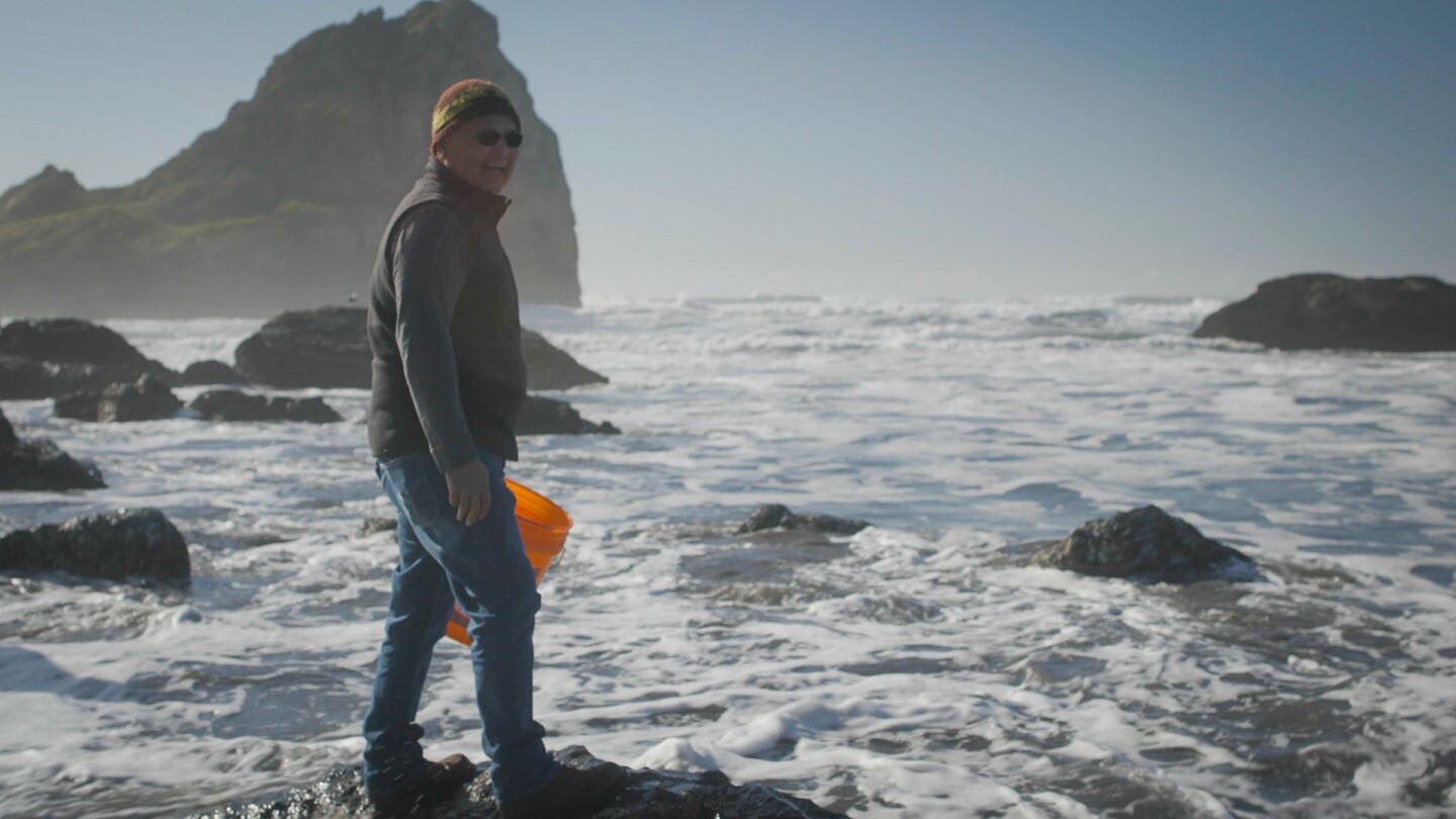 tolowa mussel harvesting