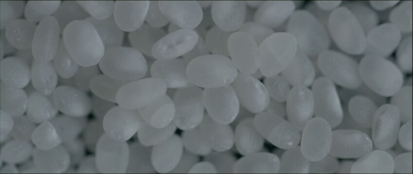 Sake rice | Still from "The Migrant Kitchen" Sequoia Sake MKs3