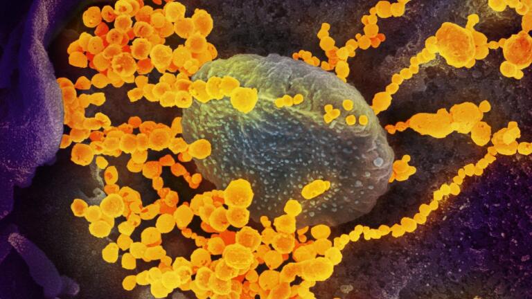 What We Know and Don’t Know about the Coronavirus