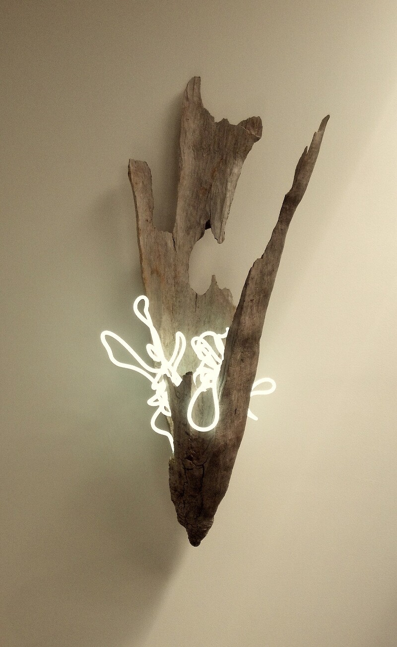 Lisa Schulte, "Untitled Wood Series #7"