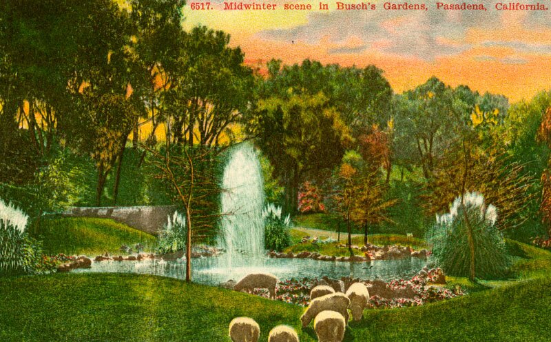 midwinter in busch gardens