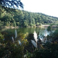 Franklin Canyon Park (1)