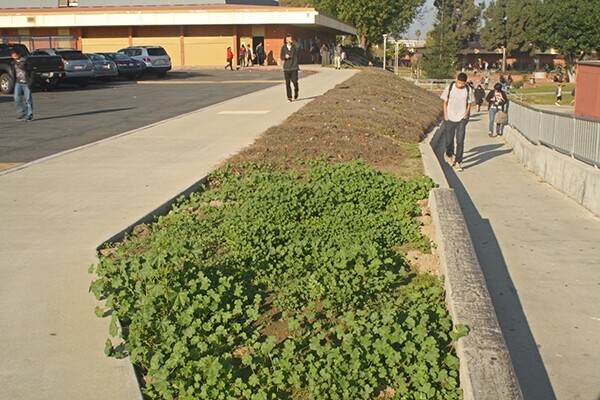 Area where the first part of the garden may be implemented