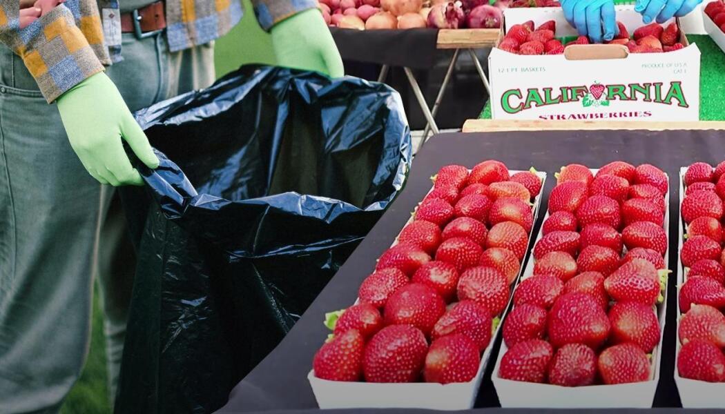 Meet the People Rescuing Food, Feeding Neighbors & Helping the Climate