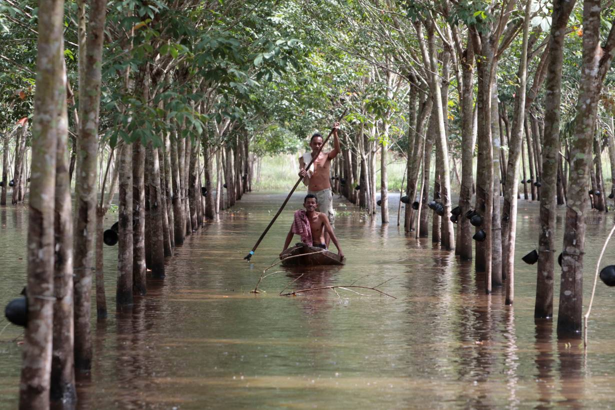 ARCHIVE PHOTO: Phon Tongmak, a rubber tree farmer (back), rows a boat in floodwaters in his rubber plantation with his friend at Cha-uat district in Nakhon Si Thammarat Province, southern Thailand, January 18, 2017. Picture taken January 18, 2017. REUTERS