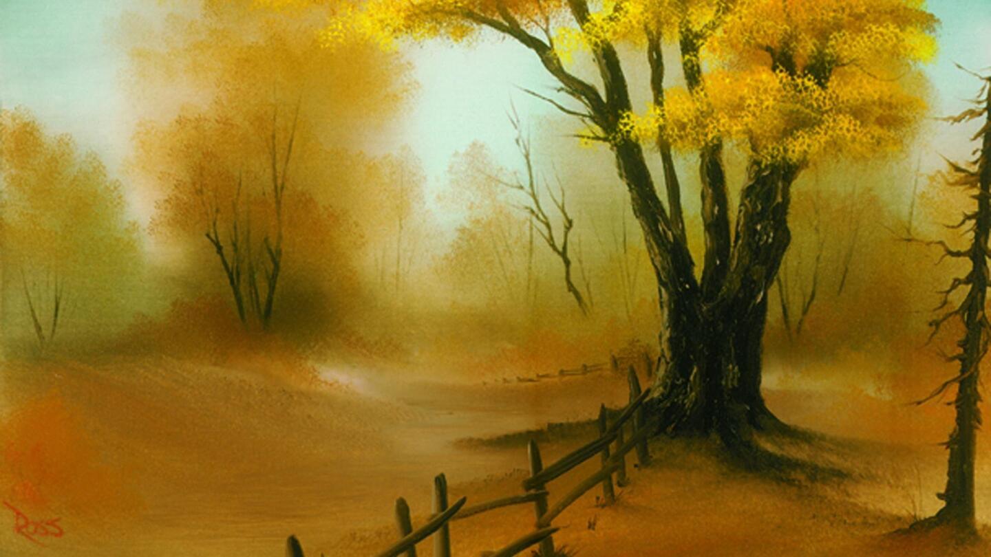 The Magic of Fall