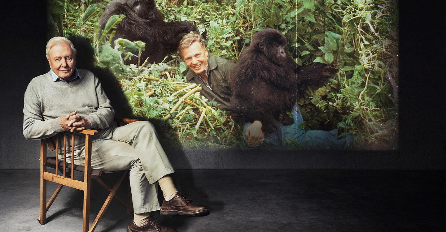 Life on Earth: Attenborough’s Greatest Adventure