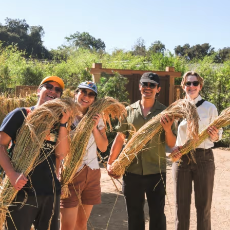Annual Shōya House Rice Harvest