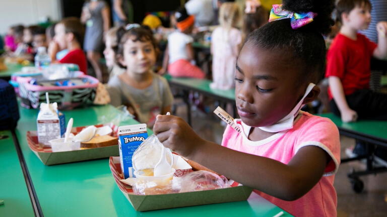 Families paying for school lunches grapple with online fees